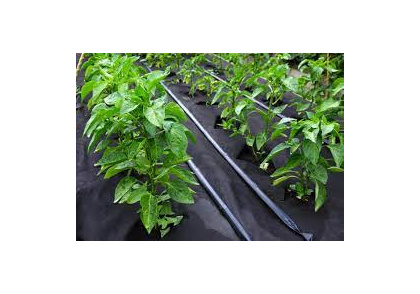 Материал нетканый фасованный СпанБелЭКО-V/50 3,2x10 м черный (Спанбонд)