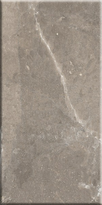 Плитка Siluet стен коричн 250x500x8, ОАО Березастройматериалы