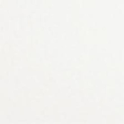 ДВПО 1220х2440*3,2 S2,98 Белая