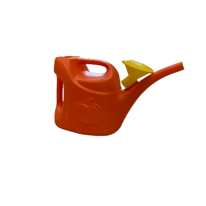 Лейка 10 л., с рассеивателем