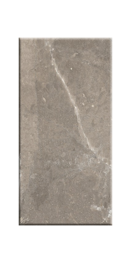 Плитка Siluet стен коричн 250x500x8, ОАО Березастройматериалы