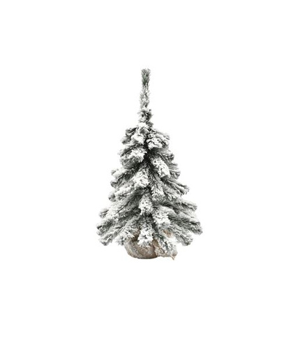 Ель в мешковине Alpine, 60см, арт. CH-SW-SG-60