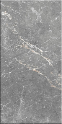 Плитка Capella стен серый 250x500x8, ОАО Березастройматериалы