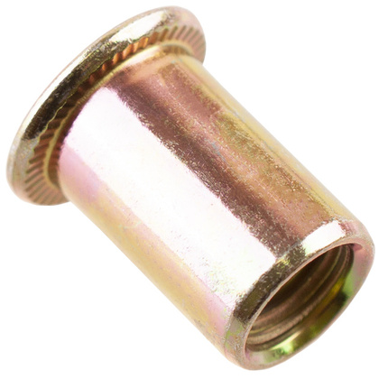 Заклепка резьбовая М10 цинк 5 шт