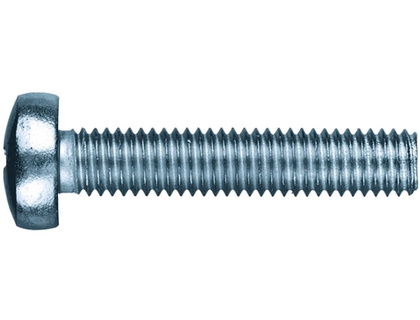 Винт с полукр.гол. нерж. 5,0x20 DIN 7985