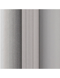 Угол д/ступен. с резиновой вставкой(серая)40мм/20мм/0,9м алюминий,DOMOLETTI